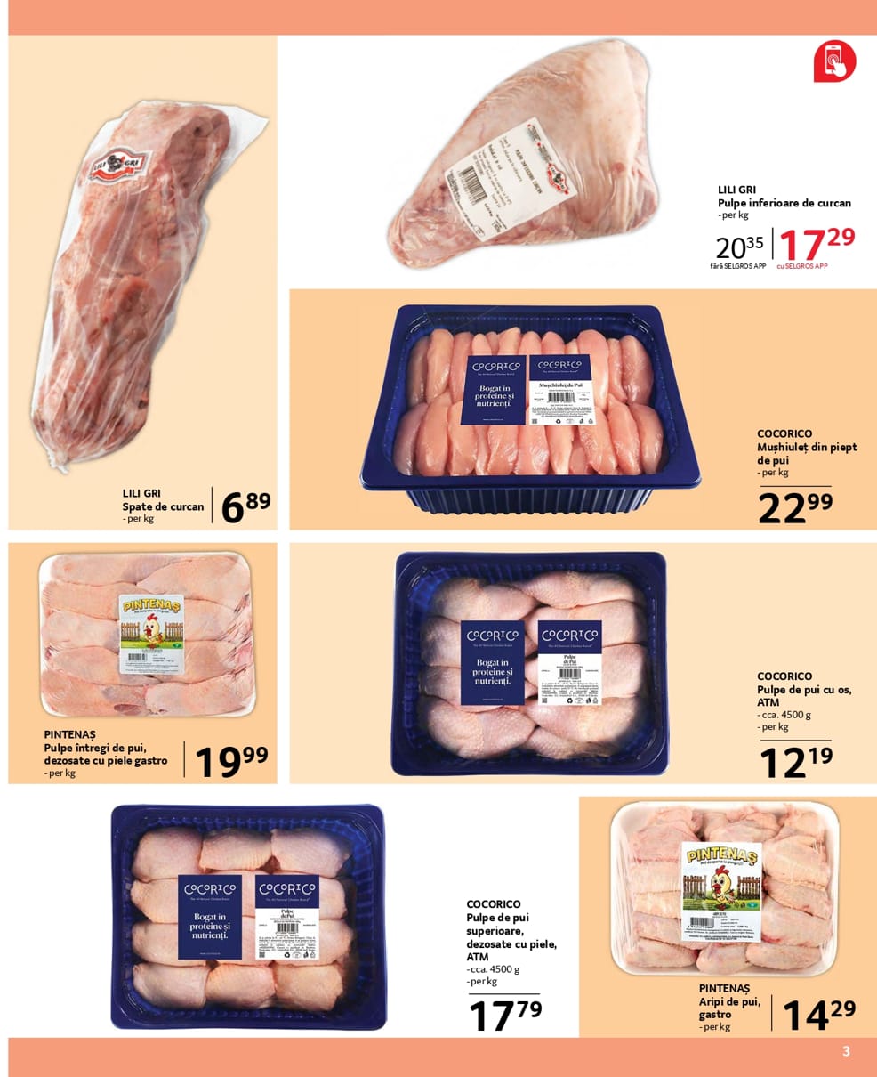 catalog Selgros gastro food